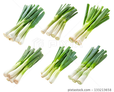 Fresh organic leeks or green onion isolated on a white background Fresh organic leeks or green onion isolated on a white background 133213658