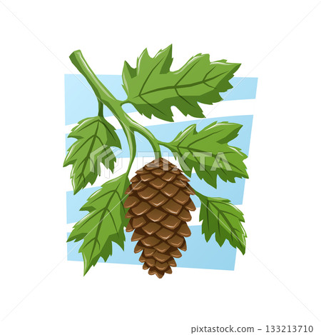 A brown fir cone hanging from a branch with jagged green leaves on a light blue background. Vector nature cartoon illustration. 133213710