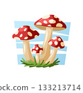 Group of red and white spotted mushrooms growing in the grass, made as a vivid vector cartoon illustration. 133213714