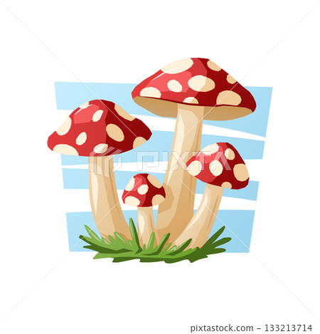 Group of red and white spotted mushrooms growing in the grass, made as a vivid vector cartoon illustration. 133213714