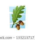 Two brown acorns with a green oak leaf on a light blue background. A clean and simple vector cartoon illustration. 133213717