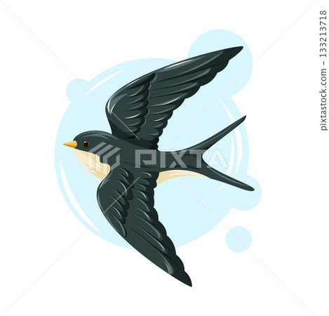 Graceful swallow in flight with dark wings and a light belly. Dynamic vector cartoon illustration of bird. 133213718