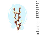 Soft fluffy willow branches with tender buds. Calm and natural spring floral vector cartoon illustration. 133213719