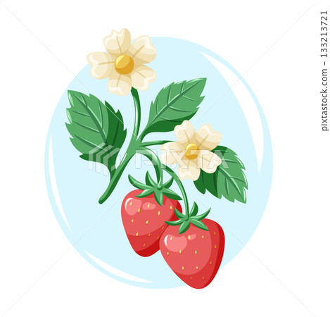 Ripe strawberries with blooming flowers and fresh leaves. Spring bright vector cartoon illustration. 133213721