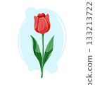 Elegant red tulip with smooth petals and tall green leaves. Clean floral vector cartoon illustration. 133213722