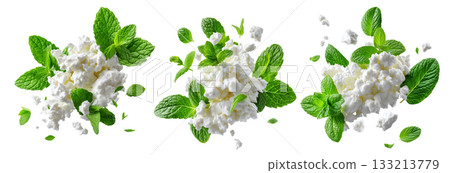 Fresh cottage cheese with green mint leaves, isolated on white background, concept of healthy food and freshness 133213779