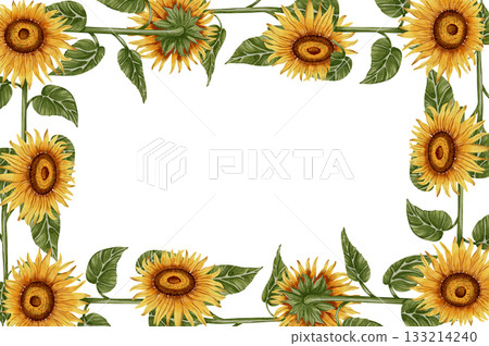 Hand-painted watercolor frame of sunflowers. Perfect for invitations, seasonal greeting cards, wedding designs, and rustic decor. Suitable for menus and packaging designs. 133214240