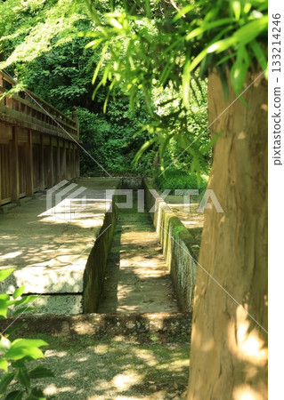 Scenery of the grounds of Myohon-ji Temple in Kamakura in summer, surrounded by trees Scenery of the grounds of Myohon-ji Temple in Kamakura in summer, surrounded by trees 133214246