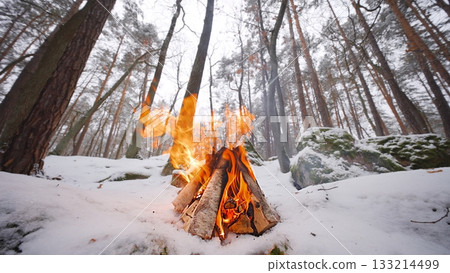 Beautiful Crackling Campfire in the Winter Spruce Forest , Authentic Place 133214499