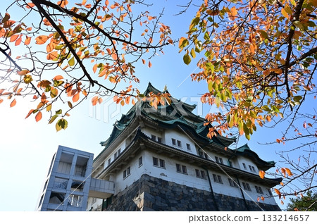 秋日櫻花與城堡天守閣(名古屋城) 秋日櫻花與城堡天守閣(名古屋城) 133214657