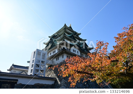 Autumnal cherry blossoms and the castle tower (Nagoya Castle) 133214696