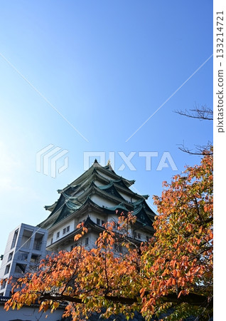 Autumnal cherry blossoms and the castle tower (Nagoya Castle) 133214721