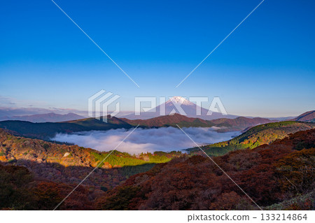 [Kanagawa Prefecture] The sea of clouds over Lake Ashi and Mount Fuji from Mount Daikanzan in Hakone during the autumn foliage season 133214864