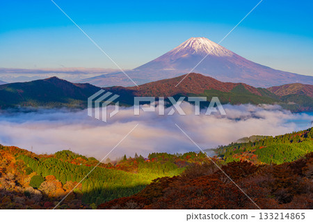 [Kanagawa Prefecture] The sea of clouds over Lake Ashi and Mount Fuji from Mount Daikanzan in Hakone during the autumn foliage season 133214865