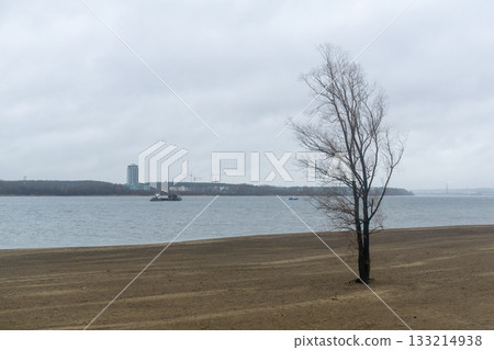 Lonely tree on the bank of the Kama River. 133214938