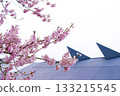 Background material of a Japanese modern landscape featuring spring cherry blossoms and distinctive roofs 133215545