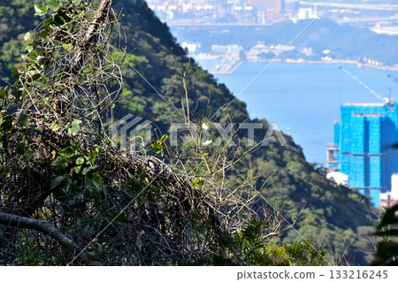 Close-up of the mountains with the cityscape in the background. Hiking scene and nature scene. 133216245