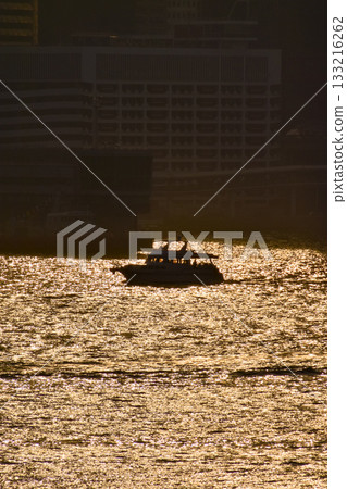 The seascape at sunset with ships and cityscape in the background. Sun-rays reflected on the calm sea. Sea background and cityscape. Nature concept. 133216262