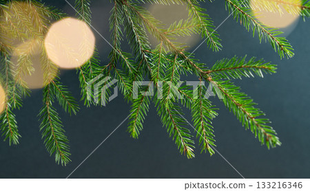 Fir tree branches with a bokeh effect from the garland on a green background. Fir tree branches with a bokeh effect from the garland on a green background. 133216346