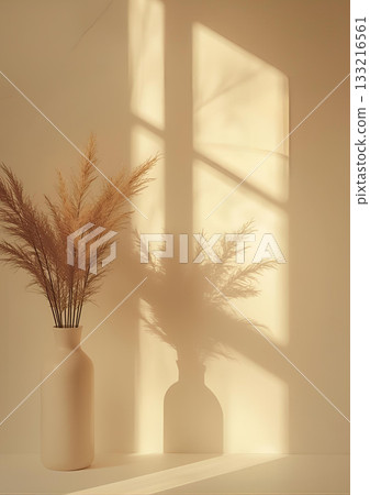 Light entering the living room 133216561