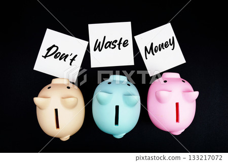 Piggy bank with "Don't Waste Money" on black background 133217072