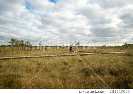 Woman walk dog through autumn peat bog under overcast sky, seasonal eco trail trekking with pet Woman walk dog through autumn peat bog under overcast sky, seasonal eco trail trekking with pet 133217633