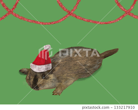 Christmas_Marmot with exposed white eyes_Christmas color mall red Christmas_Marmot with exposed white eyes_Christmas color mall red 133217910