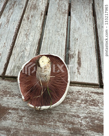 Dried porcini mushrooms. Sliced boletus on a white table. 133217965