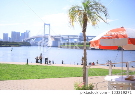 Buildings and beach seen from Odaiba 133219271
