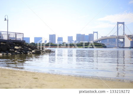Buildings seen from Odaiba 133219272