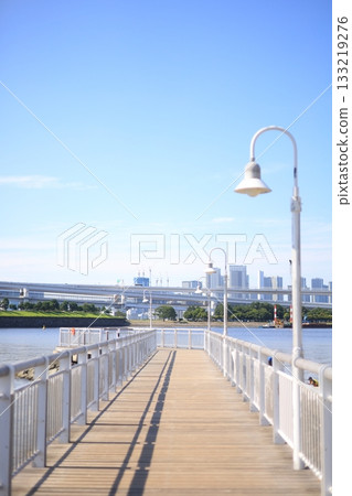 從台場碼頭看到的建築物 從台場碼頭看到的建築物 133219276