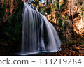 Long exposure waterfall cascading over mossy cliffs in autumn forest 133219284