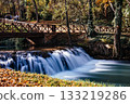 Scenic view of a wooden bridge over a waterfall in Monasterio de Piedra, Spain 133219286
