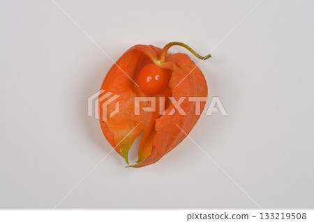 Physalis fruit 133219508