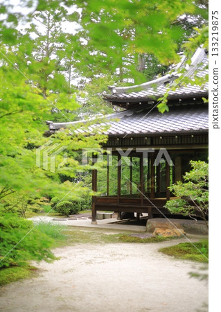 The temple grounds are surrounded by fresh greenery 133219875