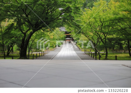 An approach to the entrance wrapped in fresh green An approach to the entrance wrapped in fresh green 133220228