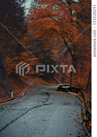 cracked wet road under fiery trees showing deep orange leaves, fissures and puddles on asphalt with bent guardrail, moody dusk 133220241