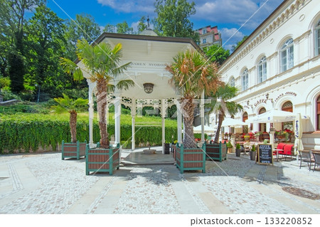 Pavilion and palm trees at spa cafe in Karlovy Vary Czech Republic Pavilion and palm trees at spa cafe in Karlovy Vary Czech Republic 133220852