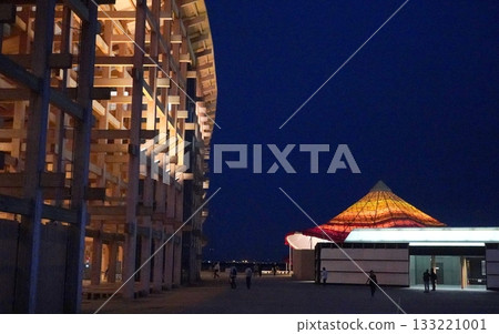 2025 Osaka Kansai Expo Pavilion View 133221001