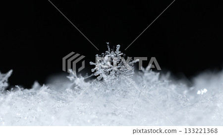 winter card, photo real snowflakes on snow winter card, photo real snowflakes on snow 133221368
