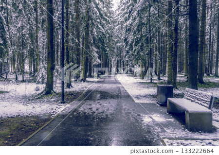 Frosty pathway lined with towering trees and reflecting light Frosty pathway lined with towering trees and reflecting light 133222664