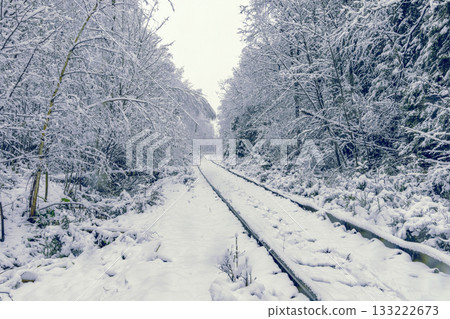 Snowy forest railway, Expansive view of train tracks cutting through snowcovered forest leading to horizon Snowy forest railway, Expansive view of train tracks cutting through snowcovered forest leading to horizon 133222673