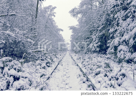 Winter journey beckons, Pathway to adventure and wonder, Frosty pathways lead towards unknown horizons 133222675