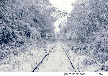 Quietly wandering along snowy tracks into woodland depths 133222676