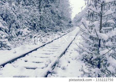 Hopeful winter sprout, Bright sprout emerges at train track edge despite chilly frost and snow 133222750