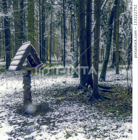 Scenic winter scene with wooden bird refuge and natural growths Scenic winter scene with wooden bird refuge and natural growths 133222752