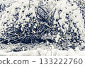 Snowcovered twigs with icy crystals in calm environment 133222760