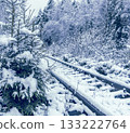 Cold winter landscape, Serene icy pathway surrounded by snowdusted firs in quiet winter setting 133222764