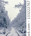 Serene icy track winding through snowcovered woodland landscape happily 133222767