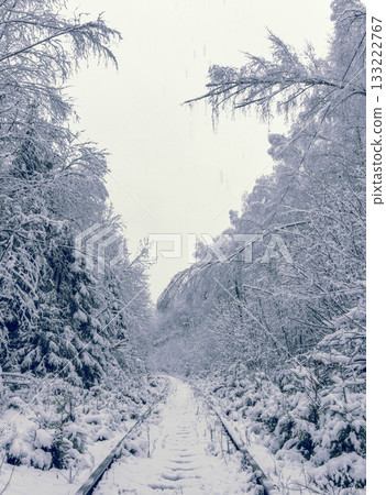 Serene icy track winding through snowcovered woodland landscape happily Serene icy track winding through snowcovered woodland landscape happily 133222767
